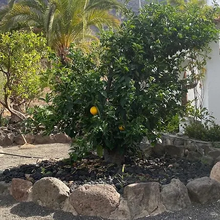 Casa Colonia 公寓 Mogán