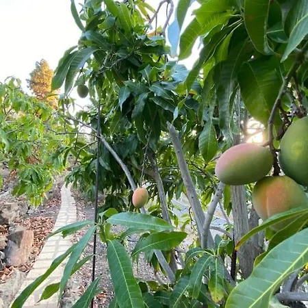 Casa Colonia * Mogán