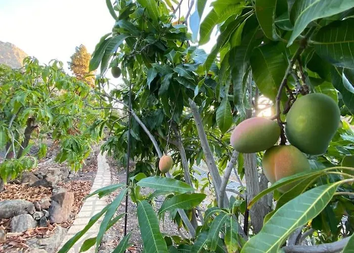 Casa Colonia * Mogán